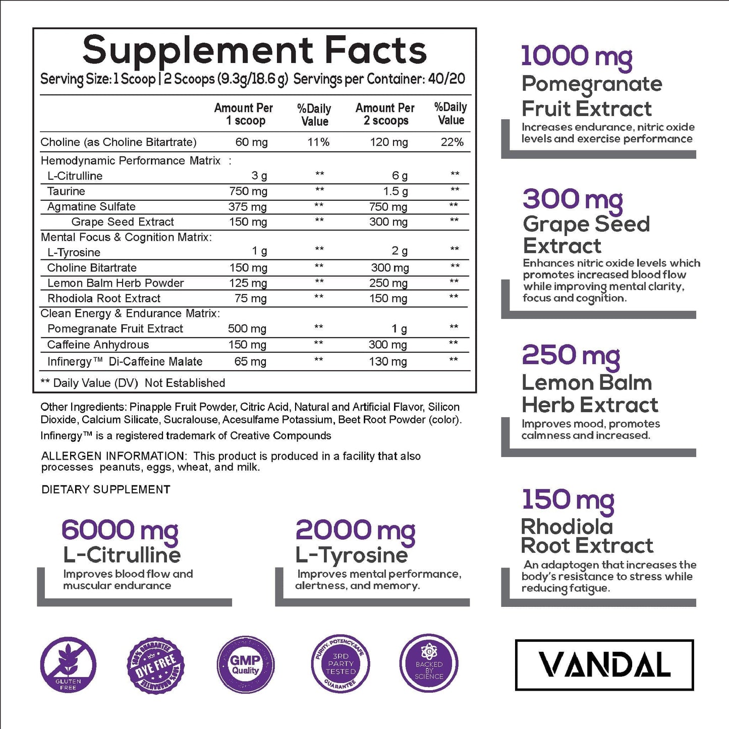 Vandal Pre-Workout 40 serving | HERC'S Nutrition Canada